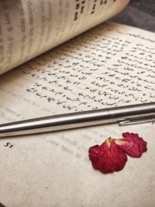 8 authors to read if you enjoy Urdu