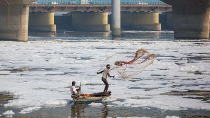 yamuna