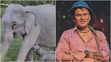 zubeen garg and mayabini elephant calf