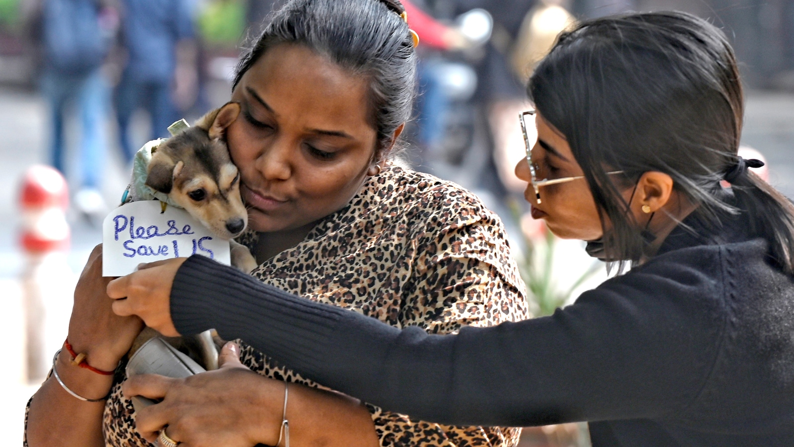 CineKind Awards: Indian films that show kindness towards animals to be honoured; ‘777 Charlie’, ‘Kooran’ on shortlist