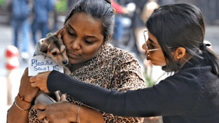 The initiative aims to make compassion a recognised and celebrated value in Indian cinema.