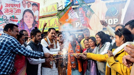 Party workers and supporters celebrate as NDA takes massive lead in Bihar poll