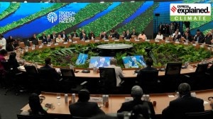 New fund to protect world’s tropical forests: What is the TFFF, and what are the concerns about it?