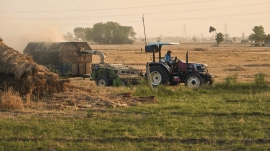 District administrations are mapping affected villages. A Rs 20,000 per acre compensation scheme is also in place for damaged crops.