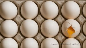 Swiggy customer uses AI to fake damaged eggs