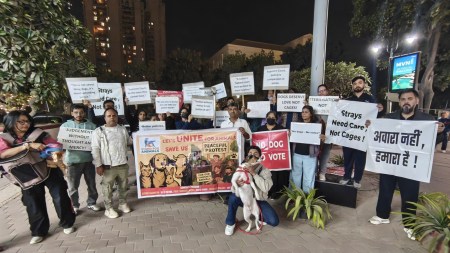 ‘Care, not cages’: Protest in Gurgaon against SC order on removal of stray dogs from schools, hospitals, rail stations