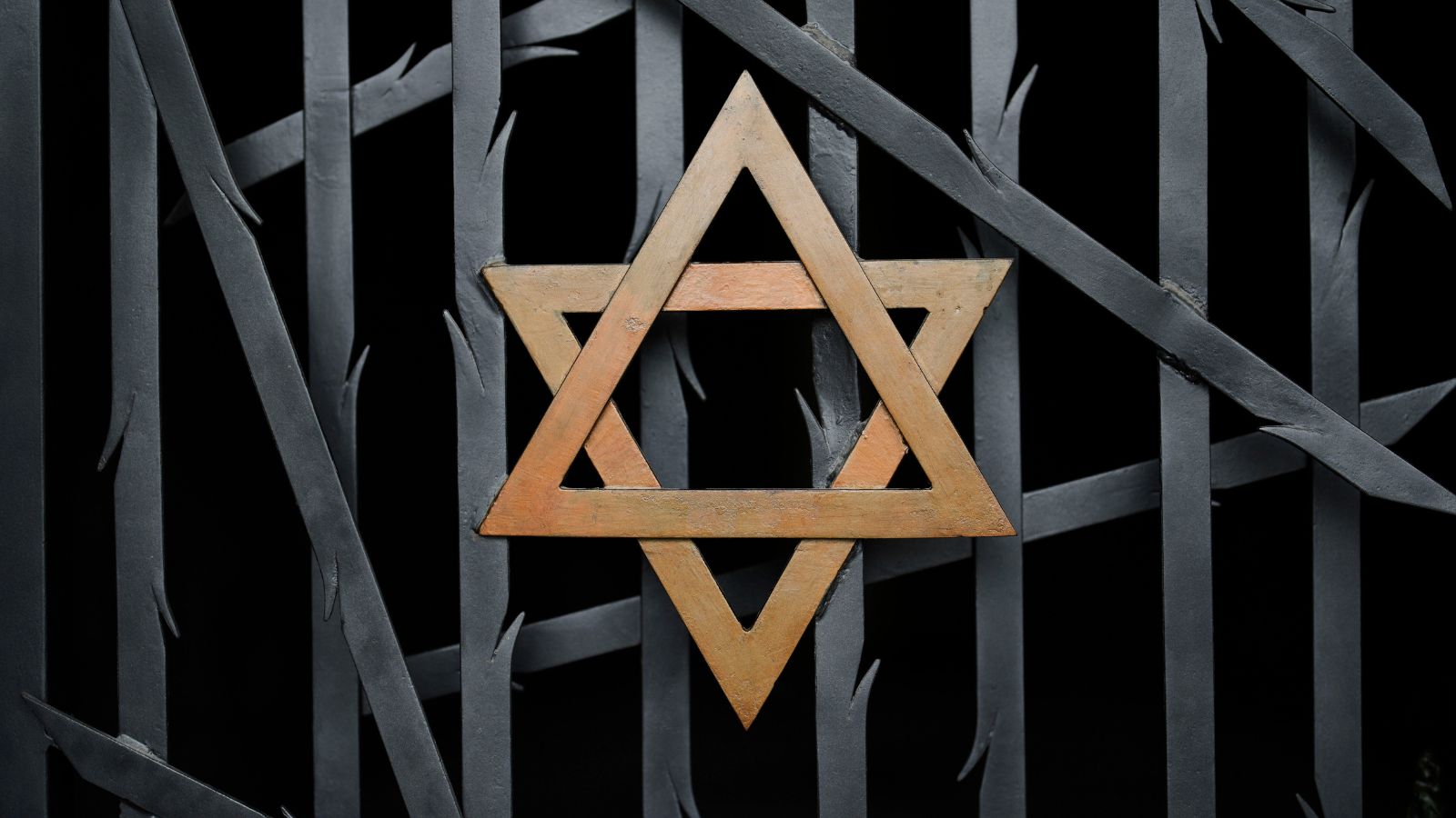 Germany cancels auction of Holocaust artifacts after backlash