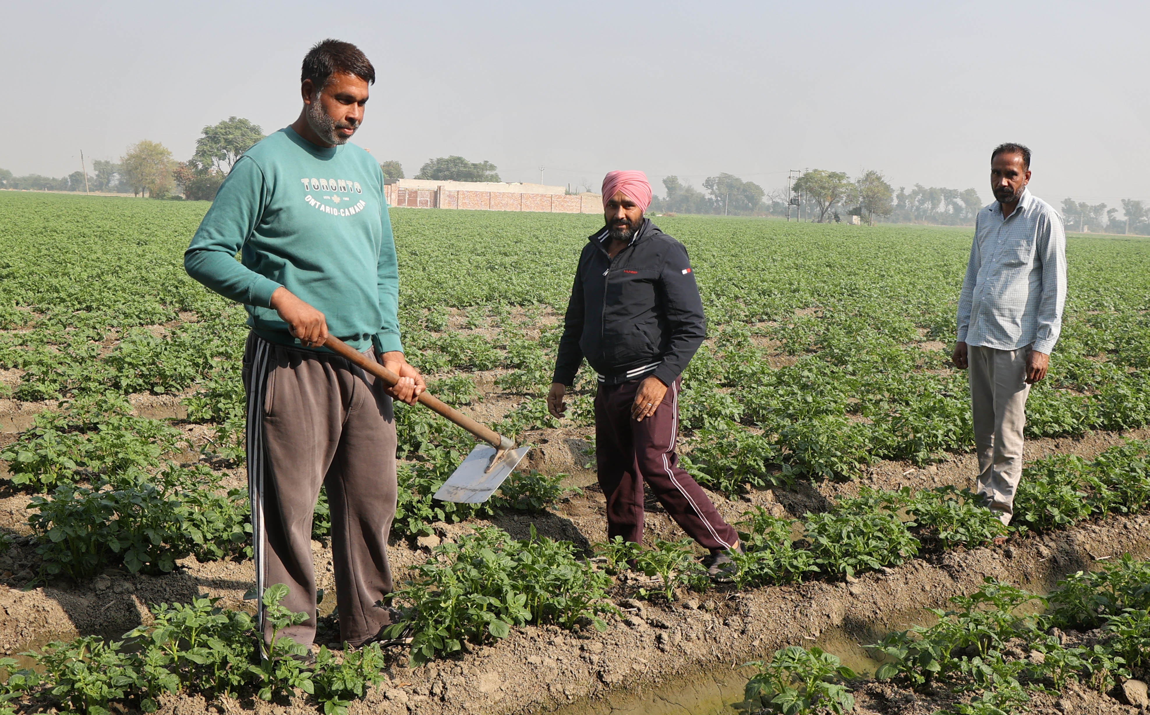 stubble burning, Shivraj Singh Chouhan, Narendra Modi, Ransih Kalan village, Punjab Moga district, Canada-returned sarpanch village, Indian express news, current affairs