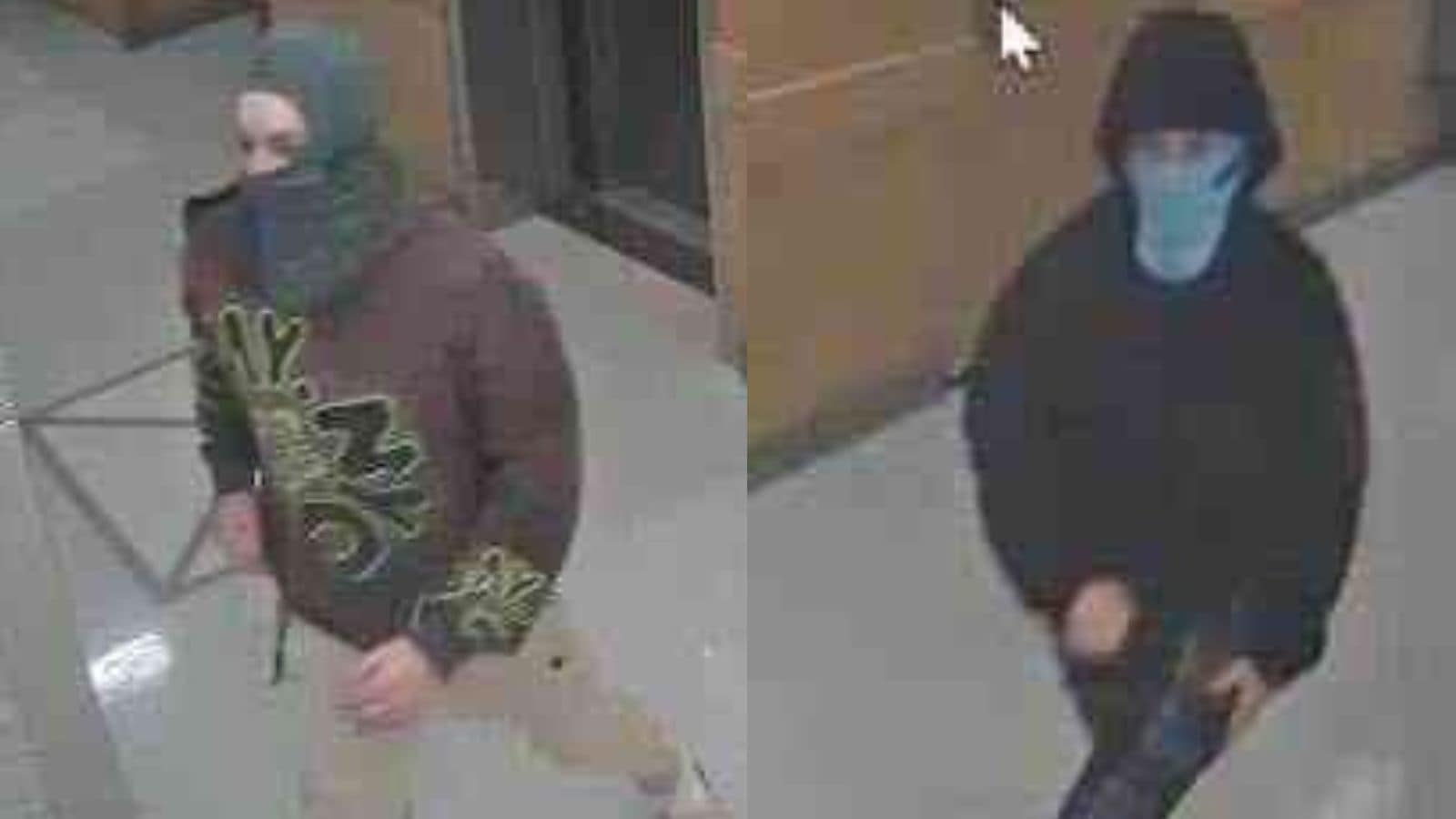 FBI investigating ‘intentional’ explosion at Harvard Medical School campus; no injuries reported