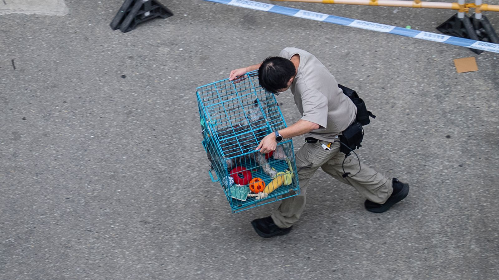 Volunteers seek lost pets amid Hong Kong deadly inferno wreckage