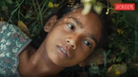 Humans in the Loop film