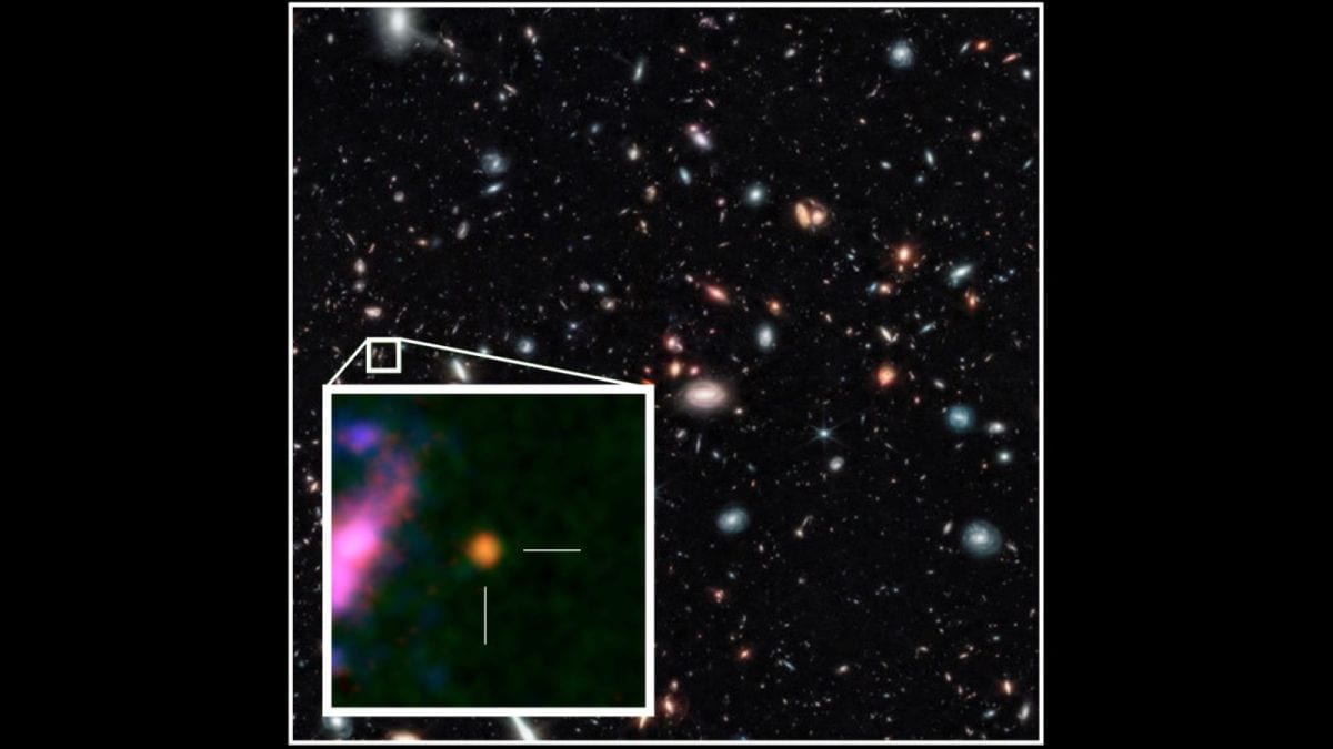 Nevertheless, Zavala pointed out that GHZ2 does not exhibit certain classic indicators of active galactic nucleus activity, implying that star formation might primarily fuel the galaxy, potentially via supermassive stars with masses significantly exceeding that of the sun, or through atypical star formation processes. (Image: Royal Astronomical Society)