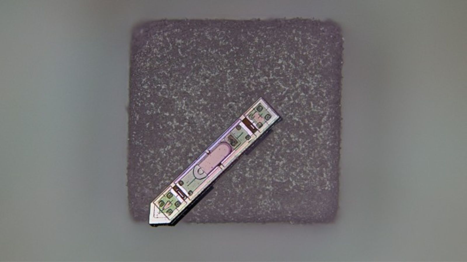 Scientists create brain implant smaller than a grain of rice ...