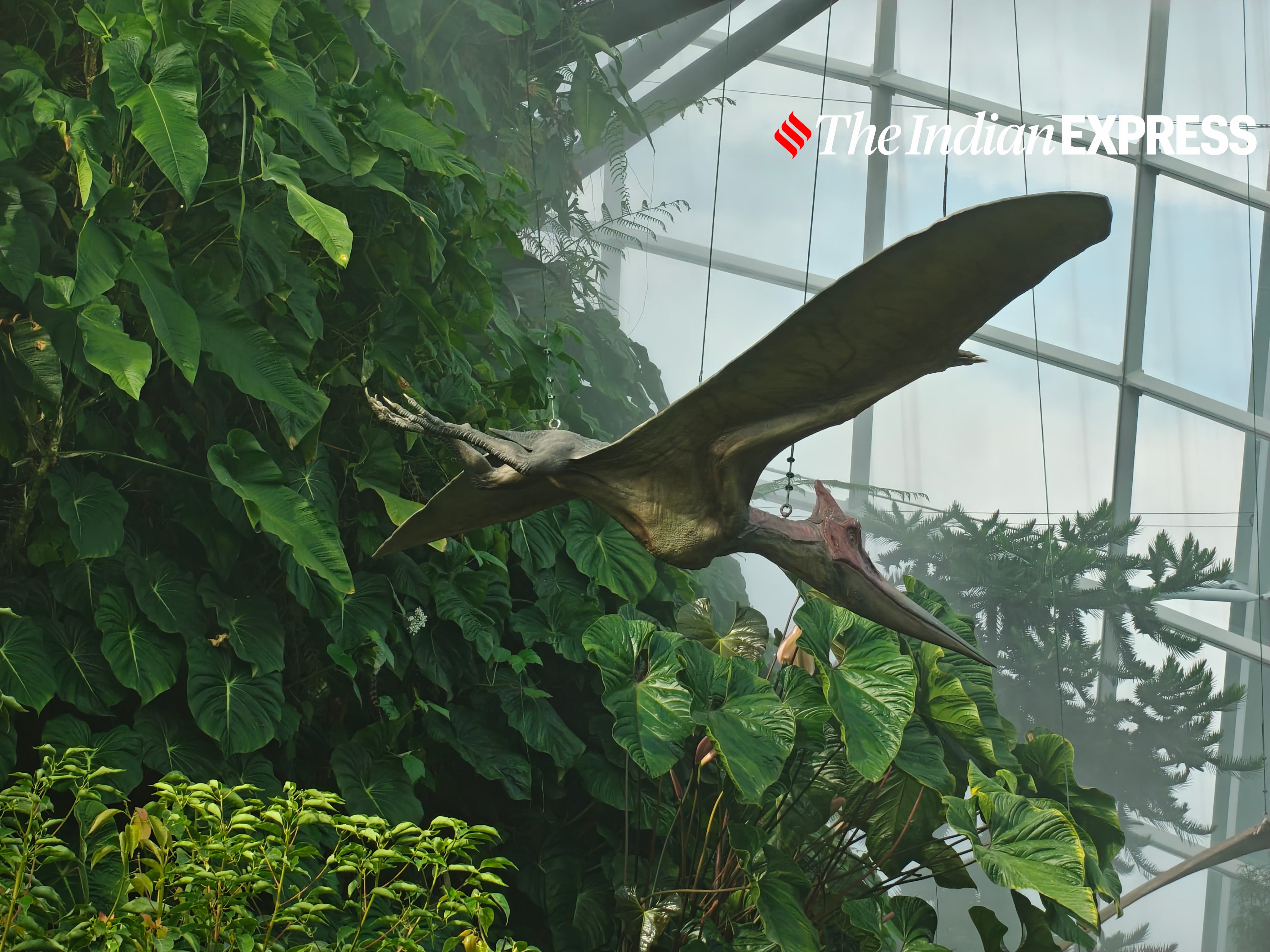 (Image: Bijin Jose/The Indian Express)