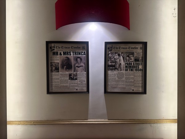 An image of Mr and Mrs Trinca (Express photo)