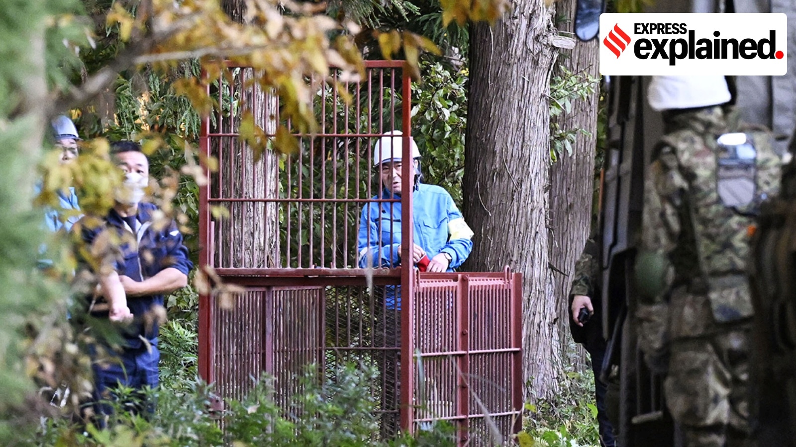 Un-bear-able: Why Japan had to call in troops to tackle rising bear attacks