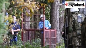 Un-bear-able: Why Japan had to call in troops to tackle rising bear attacks