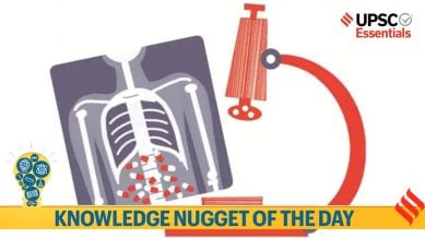 Knowledge Nugget: Everything you need to know about WHO’s Global TB Report 2025 and beyond