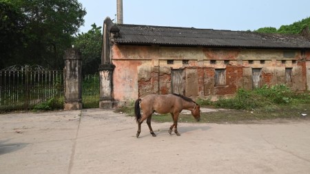 Bihar Assembly elections, Dalmianagar history, bihar Special Economic Zone, Special Economic Zone, Dalmianagar, Reliance Industries Ltd, Narendra Modi, Dalmianagar factory complex, Bihar’s Rust Belt, Indian express news, current affairs