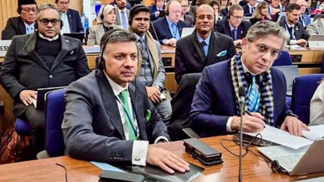 International Maritime Organisation, IMO Council,