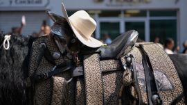 Mexico mayor shooting