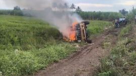13-yr-old boy killed in leopard attack in Pune village; mob sets forest dept office, vehicle on fire