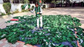 rjd, rjd reaction, bihar assembly election,