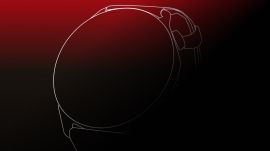 OnePlus might be working on a lighter version of the OnePlus Watch 3 that combines better all-day comfort with minimal style. (Image: X/Brain MacDuff)