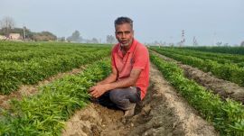 Farmer Lakhwinder Singh in his field