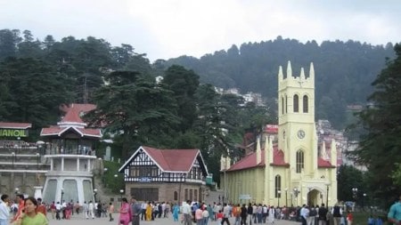 In Shimla, the land of omniscient devs and omnipresent deodars, I often felt like a cuckoo in a borrowed nest.