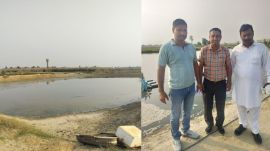 Shrimp farming US tariffs