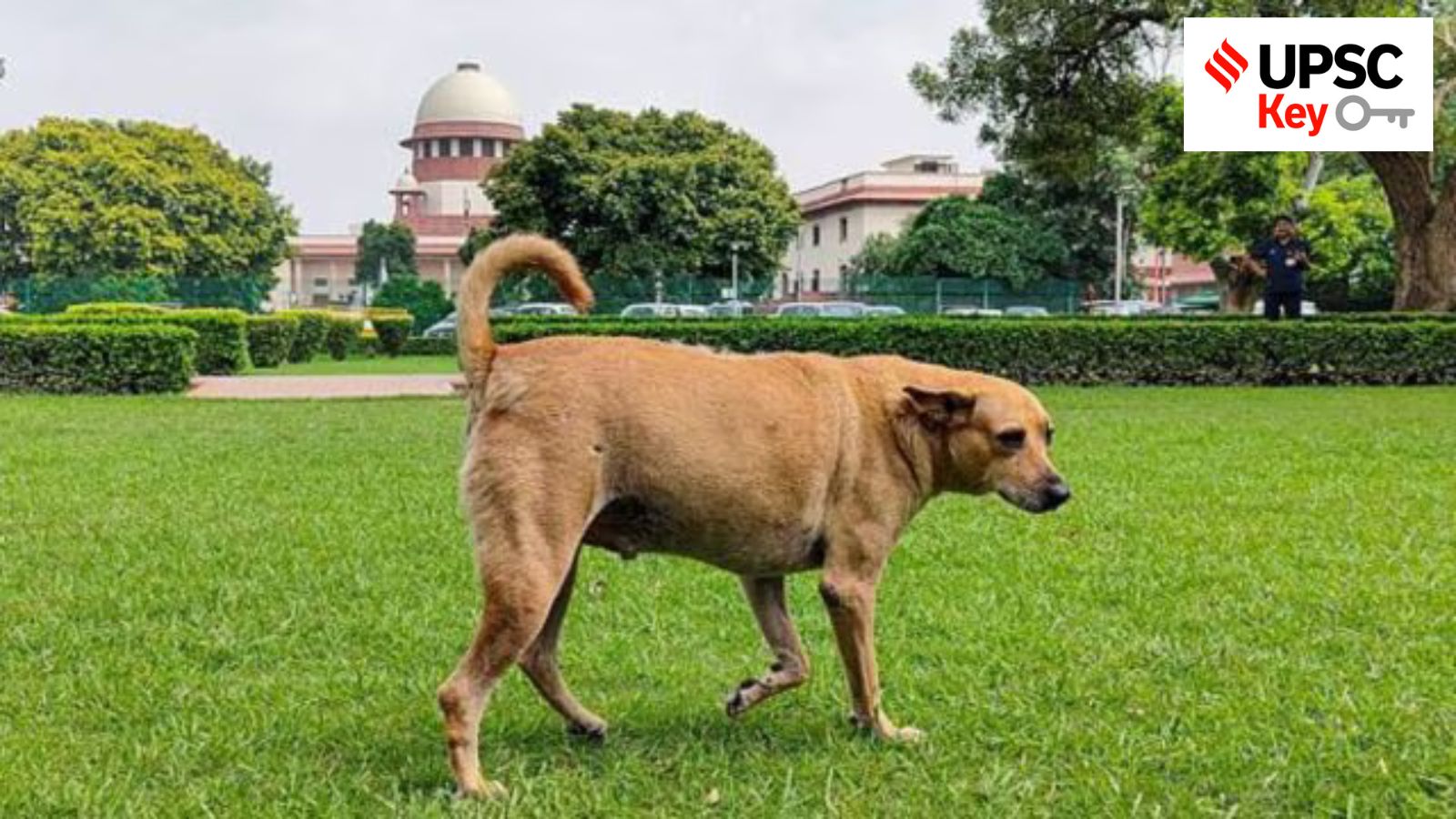 UPSC Key: SC order on stray dogs, Abraham Accords, and Maoism insurgency