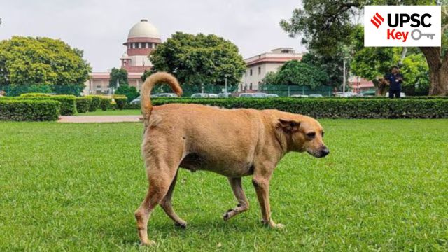 stray dogs, upsc, key, daily news