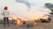 Stubble burning Farm fire