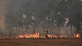 stubble burning, delhi stubble burning, Punjab stubble burning, Haryana stubble burning, curb stubble burning, delhi news, India news, Indian express, current affairs