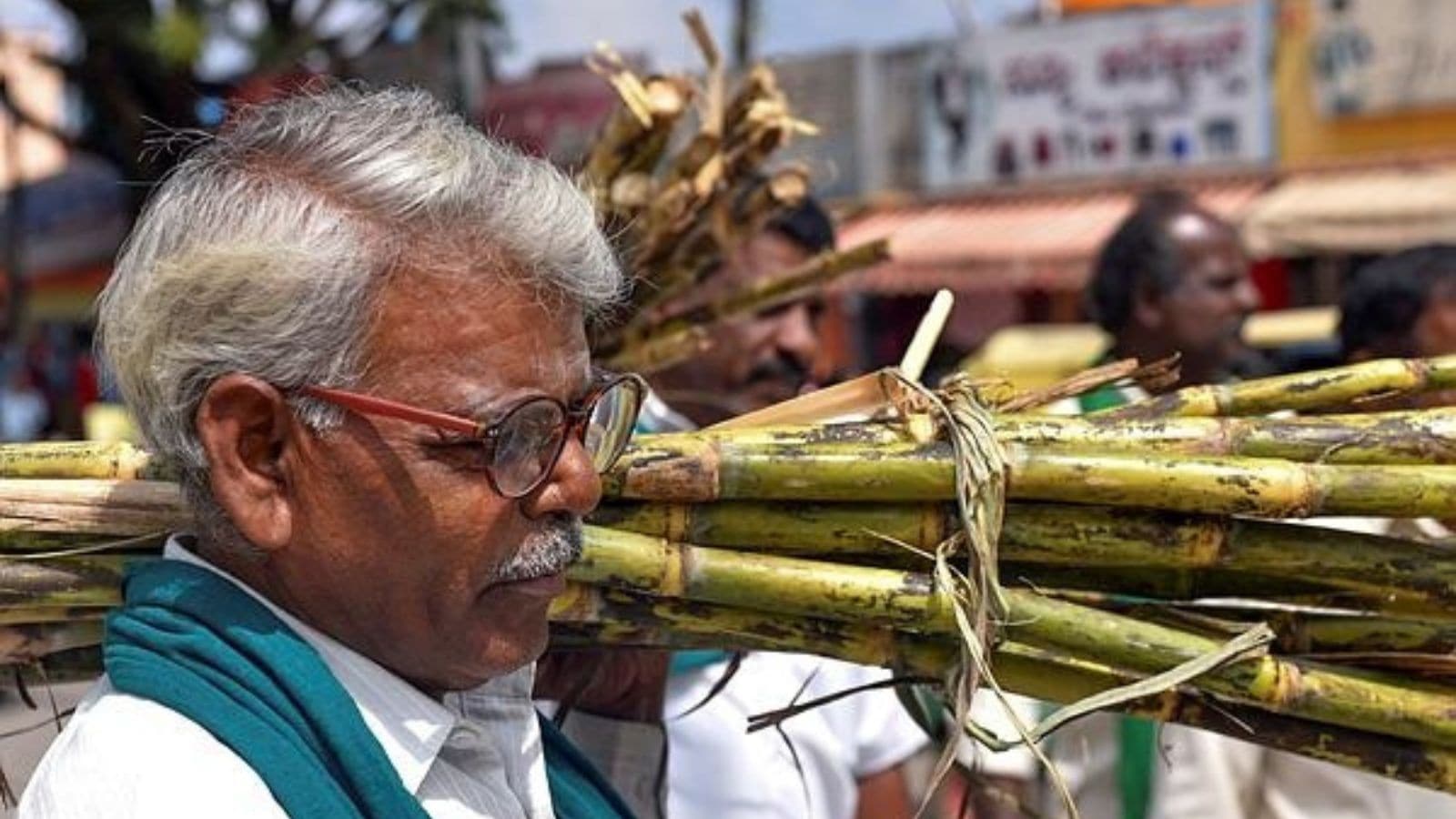 Karnataka sugarcane farmers call off protest after state, factories agree to pay Rs 100 per tonne subsidy