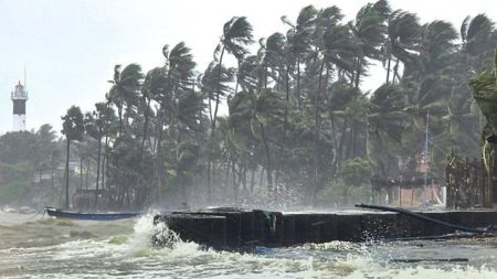 Strong winds bend palm trees and waves crash against a seawall during rough sea conditions triggered by Cyclone Ditwah, in Ramanathapuram, Tamil Nadu, Friday, Nov. 28, 2025. (PTI Photo)