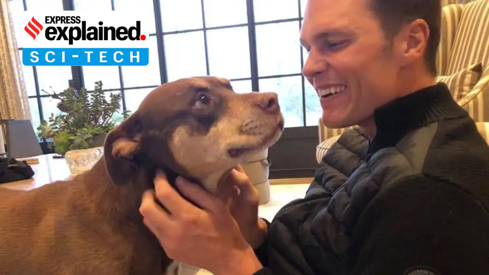 Tom Brady’s cloned dog: All about the process, its criticism