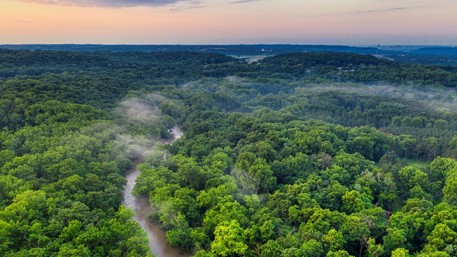 India’s carbon sink is weakening — climate policy can no longer ignore it