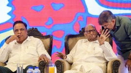 Congress called the local-level alliance “expected” in civic elections.