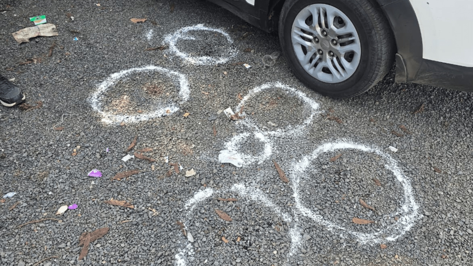 Police seized pistols and ammunition, and an FIR is being registered as investigations continue.