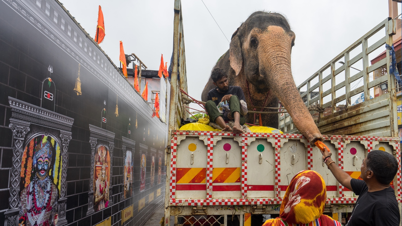 Bombay HC permits capture and temporary translocation of a 10-year-old wild elephant to Vantara (Gujarat)