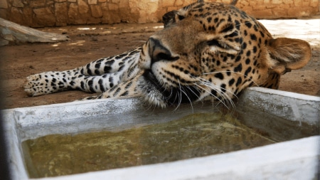 Officials urged citizens to avoid misinformation as monitoring teams continue search and safety operations.