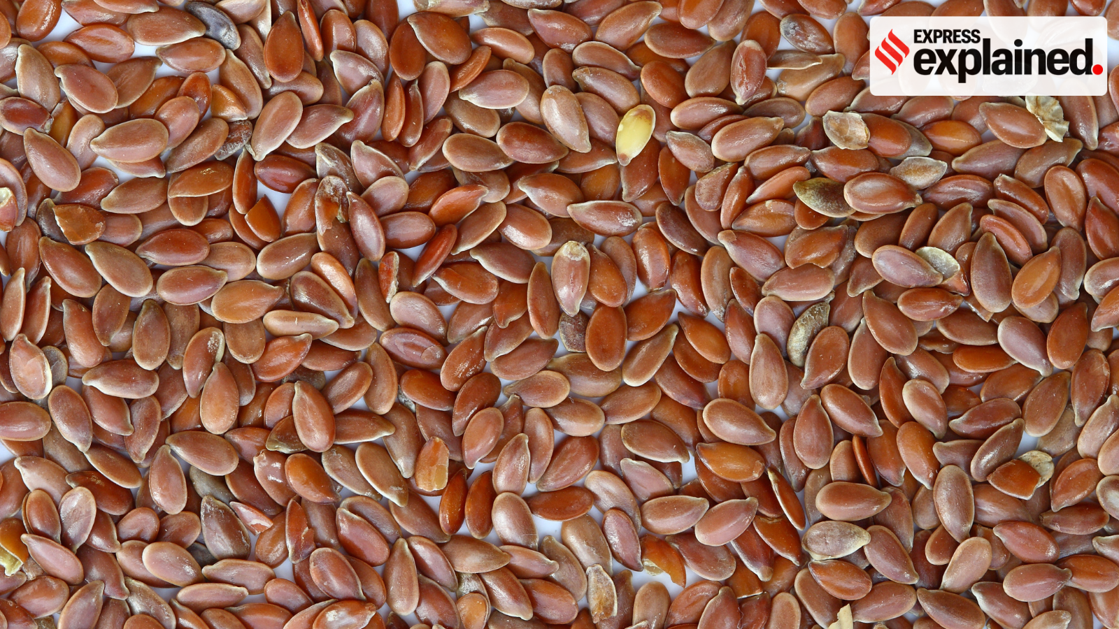 New Seeds Bill Proposes Higher Penalties and Mandatory Registration