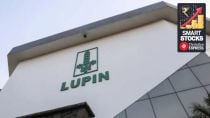 Lupin