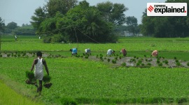 The situation has prompted Stalin to write to Prime Minister Narendra Modi over relaxing norms and raising procurement targets. {Source: Wikimedia commons)