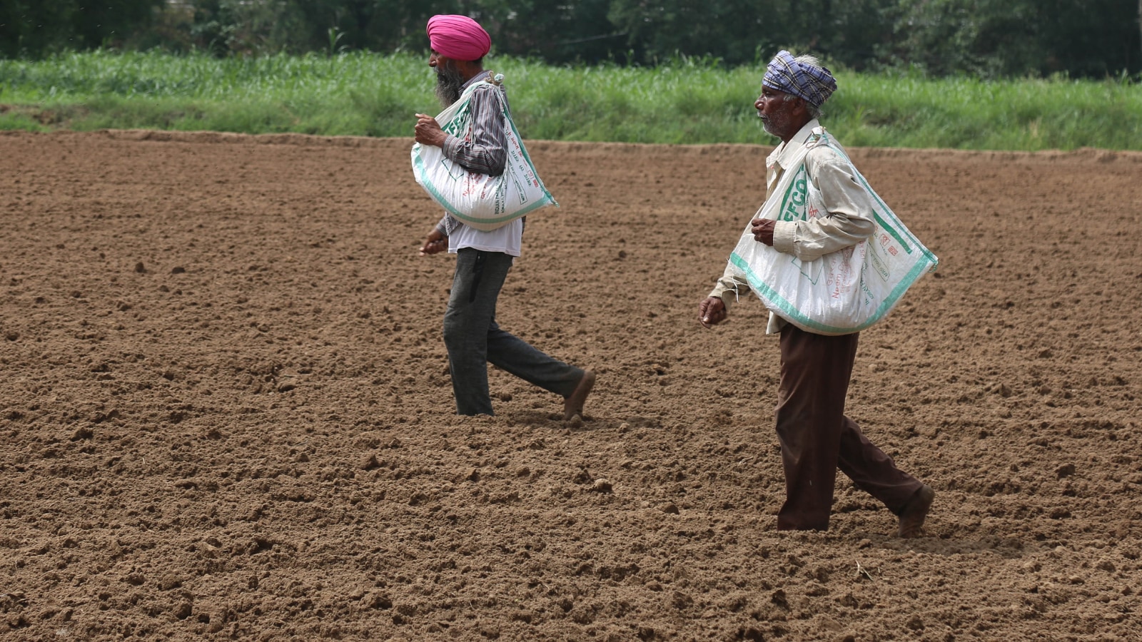 Spotlight on usage of urea, DAP and pesticides in farming