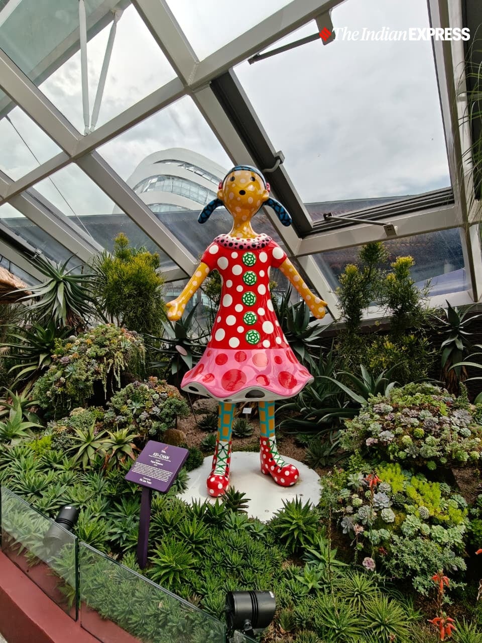 (Image: Bijin Jose/The Indian Express)