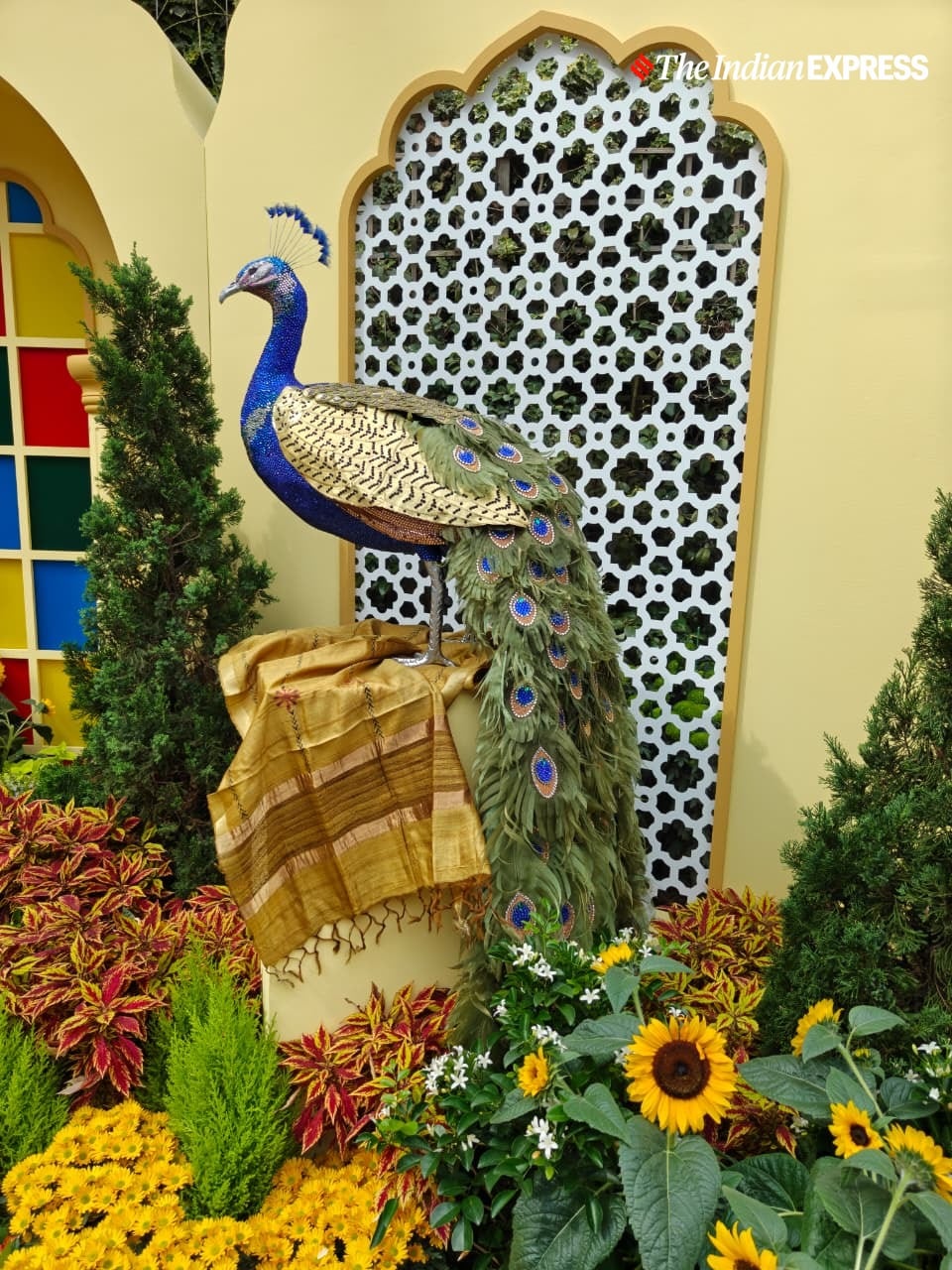 (Image: Bijin Jose/The Indian Express)