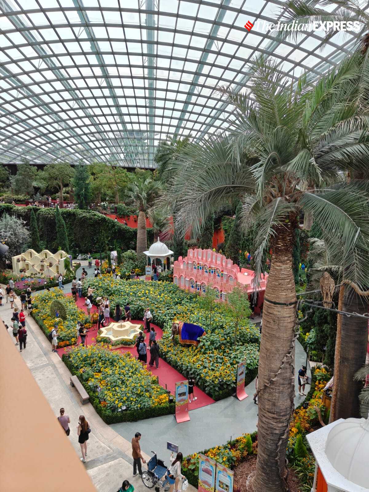 (Image: Bijin Jose/The Indian Express)